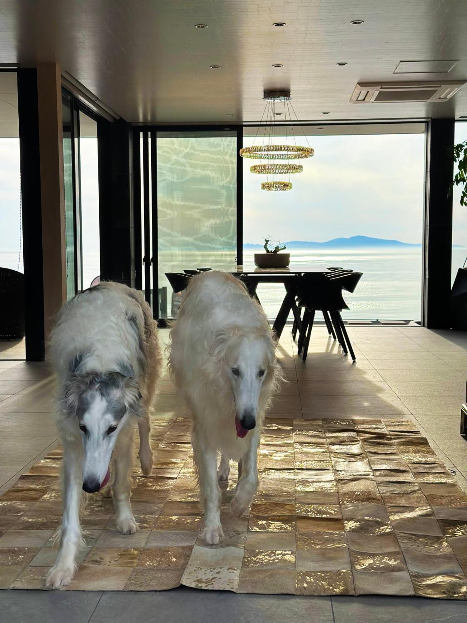 Private Villa クニウミ之チ 淡路市 エクステリア 写真