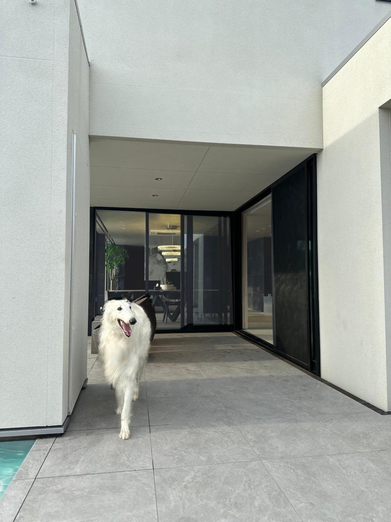 Private Villa クニウミ之チ 淡路市 エクステリア 写真